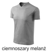 Koszulka męska V-NECK 102  160g